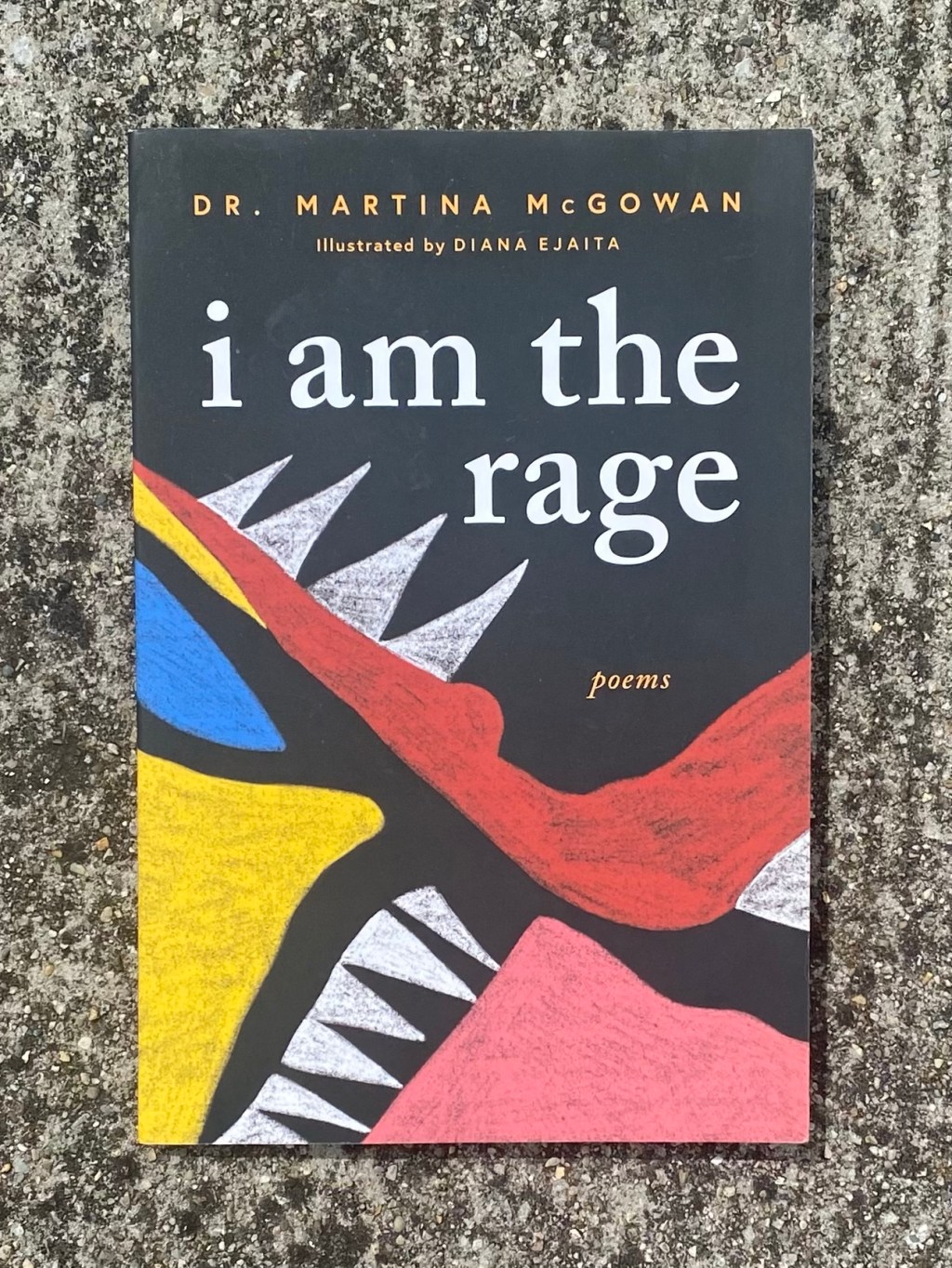 Book Talk & Review: i am the&nbsp;rage