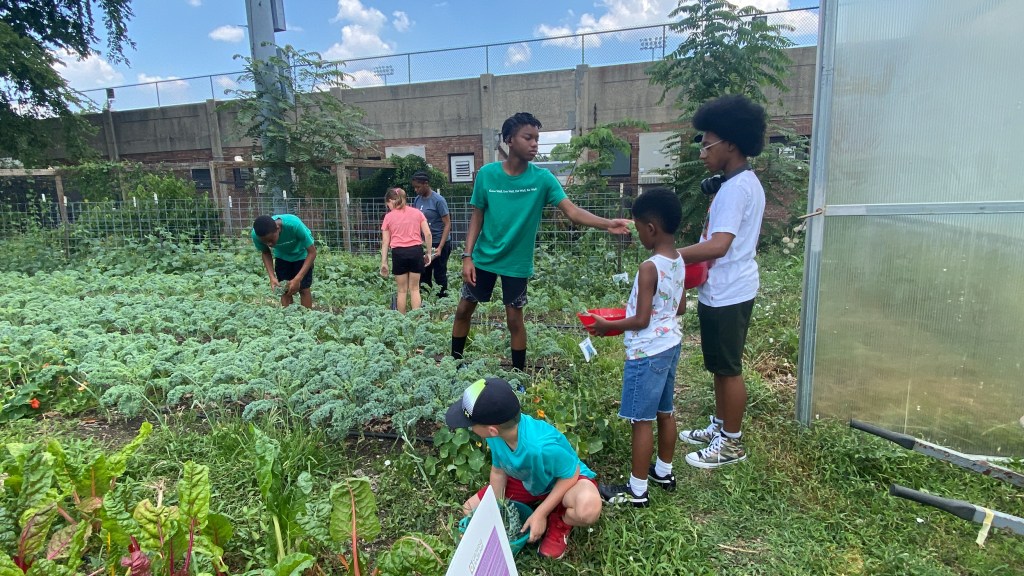 Glow & Grow&nbsp;(Español)